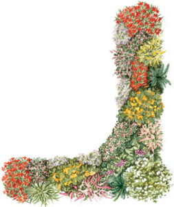GREEN PATCH Image